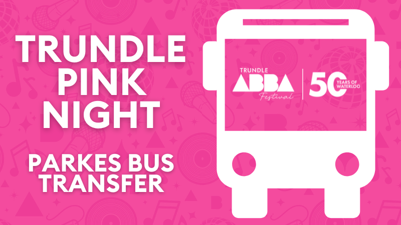 Pink-Night-Bus.png